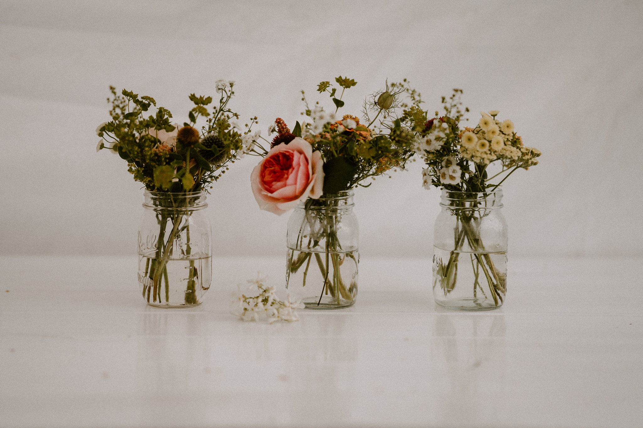 Real flowers for weddings, table decor, bouqets, floral arrangements